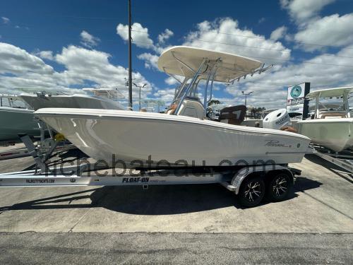 Pioneer 202 Islander fiche technique et avis